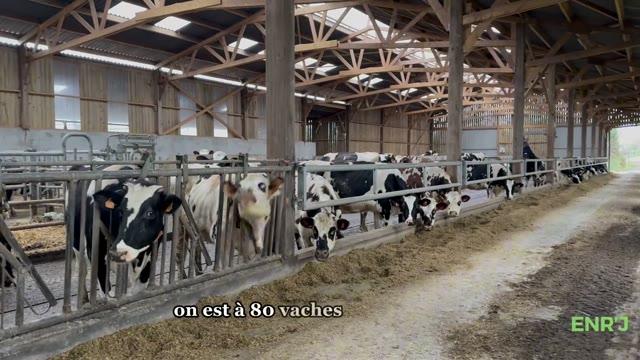 Lenormand Fabien - Éleveur